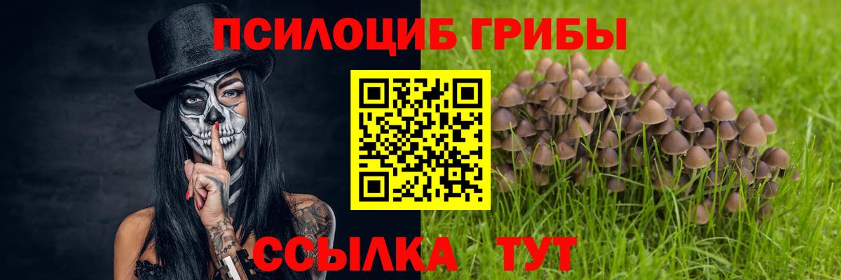 Псилоцибиновые грибы Magic Shrooms Жигулёвск